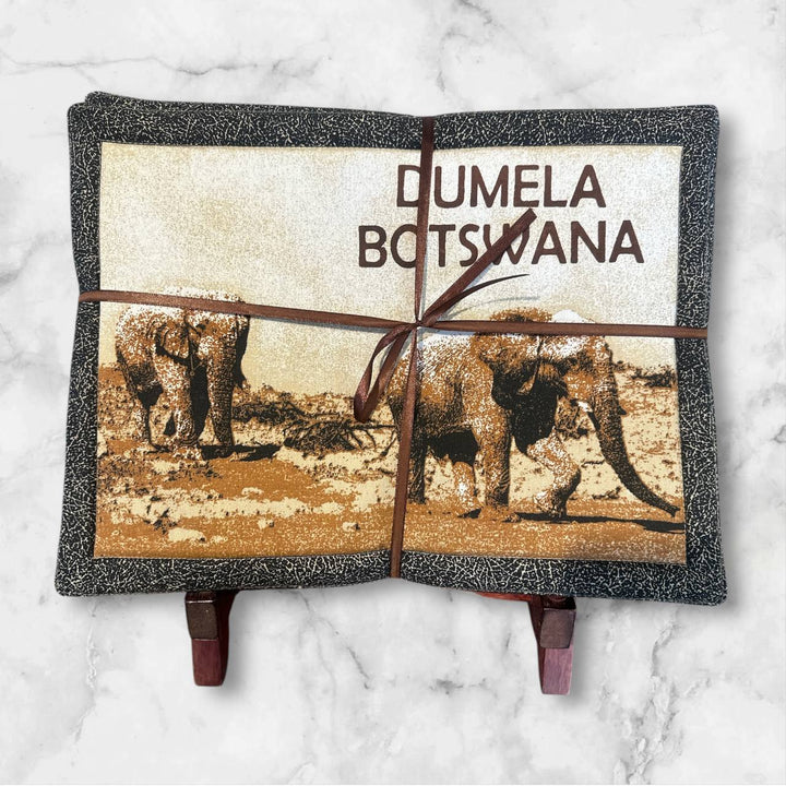 Handcrafted African Animal Placemat Set by Dilwana