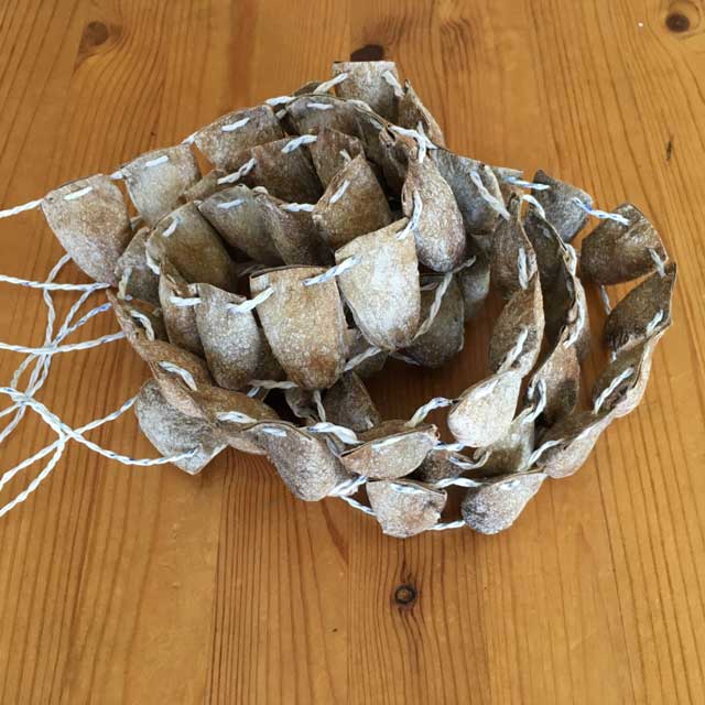 Traditional leg rattles - Dilwana - botswana online shopping