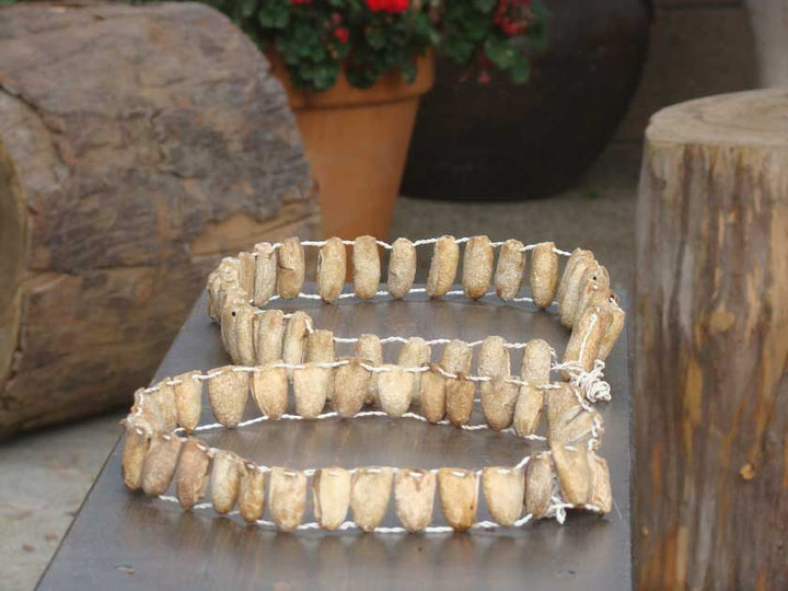 Traditional leg rattles - Dilwana - botswana online shopping
