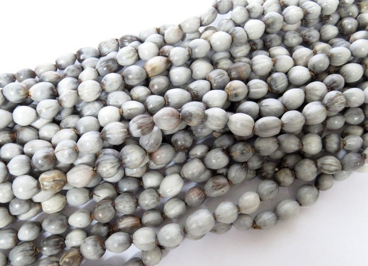 Natural seeds Necklace | From South Africa | African craft - Dilwana - botswana online shopping