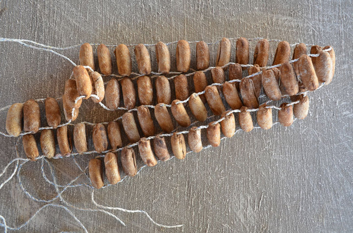 Traditional leg rattles - Dilwana - botswana online shopping