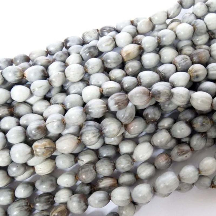 Natural seeds Necklace | From South Africa | African craft - Dilwana - botswana online shopping